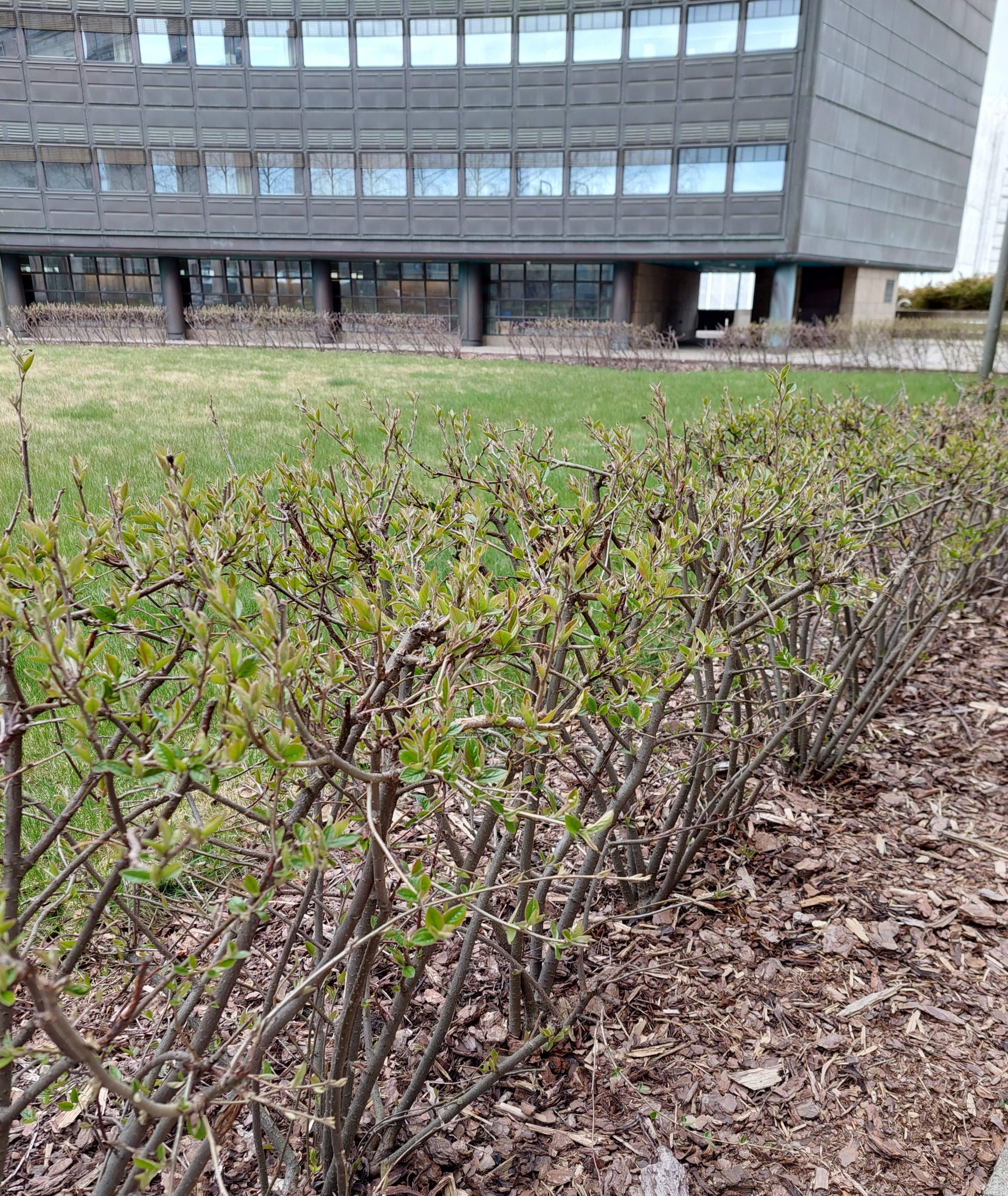 Kuulumisia eduskunnasta vko 18/2024