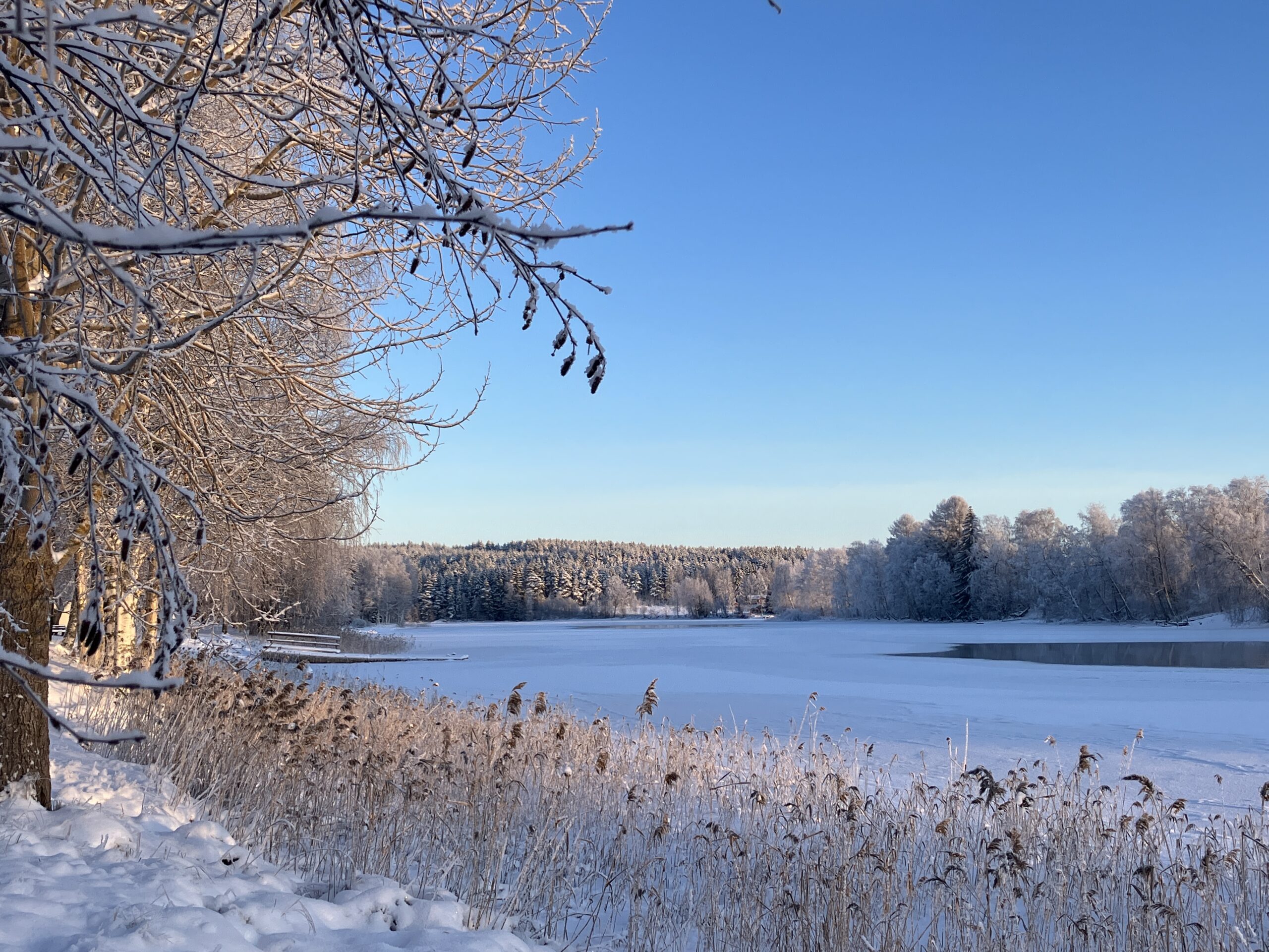 Kaukana keskellä puhuttelevaa luontoa